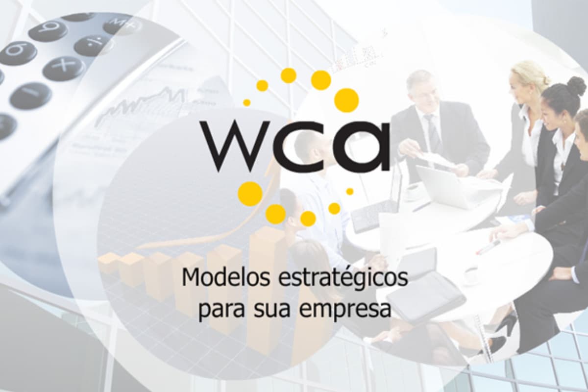 WCA Mentoring & Consulting