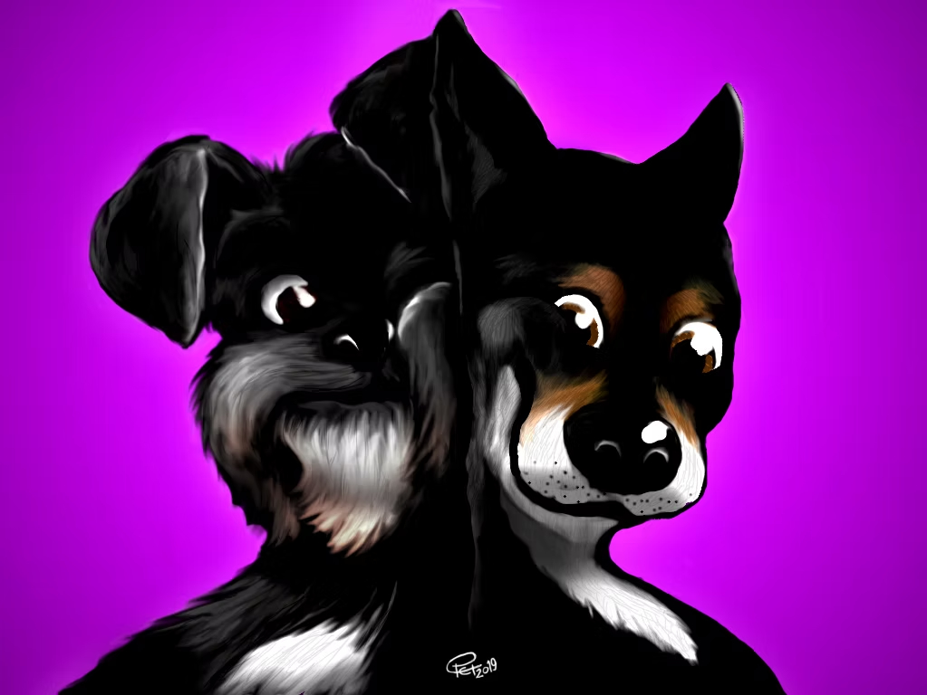 Ilustrações de animais