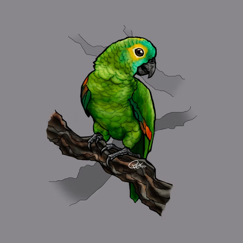 Ilustrações de animais